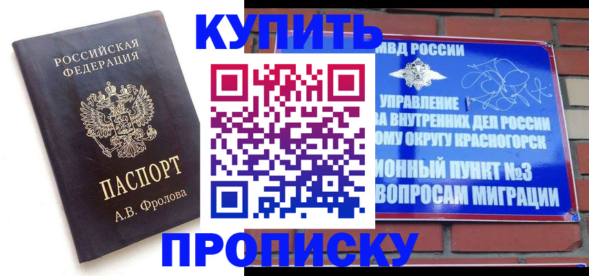 прописка поиск в Ершове